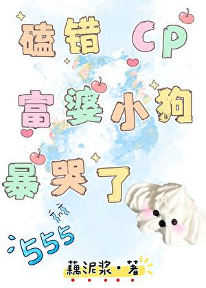 捡回来的少年
